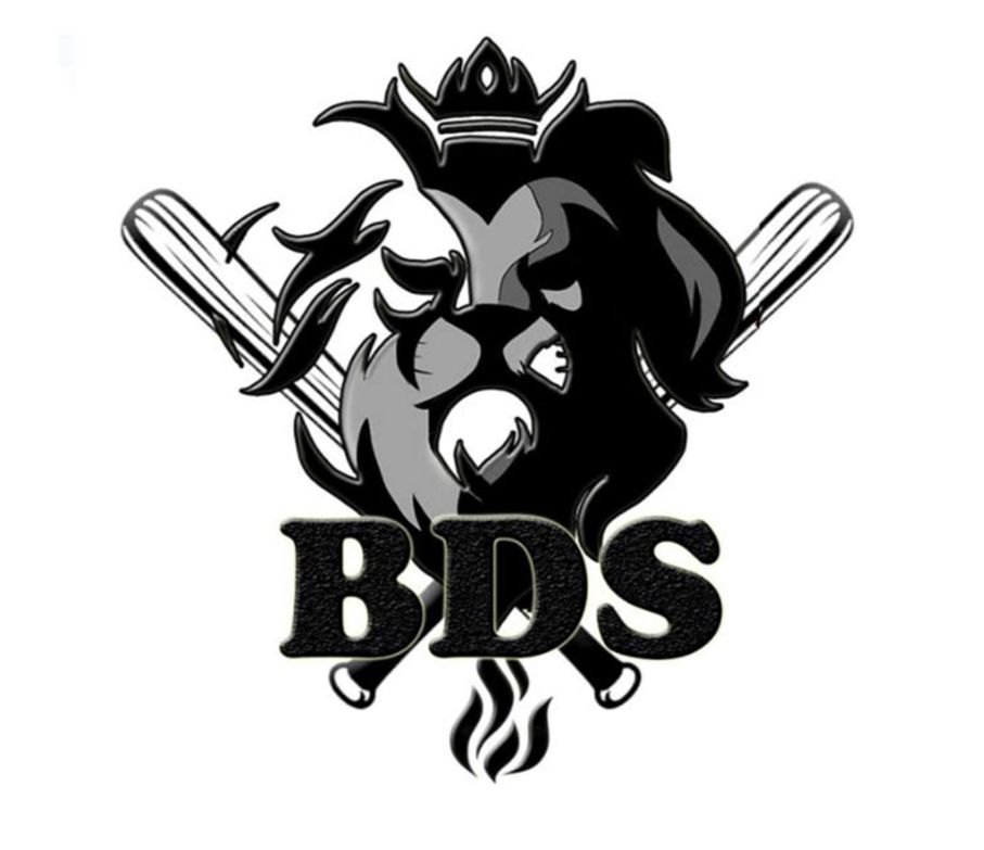 Logo BDS - Bureau des Sports
